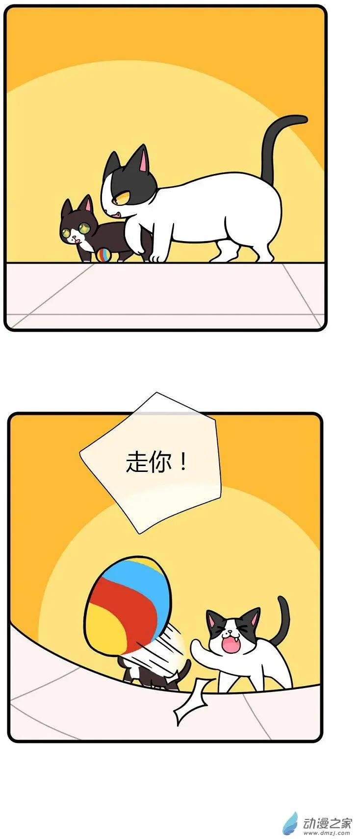 第19回