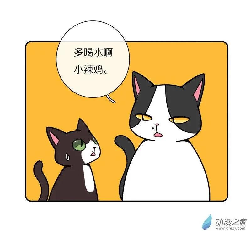 第23回