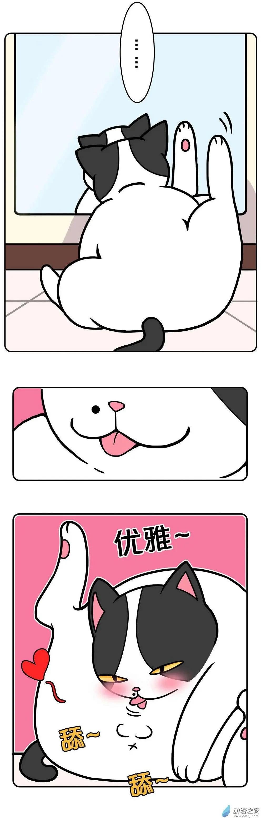 第05回
