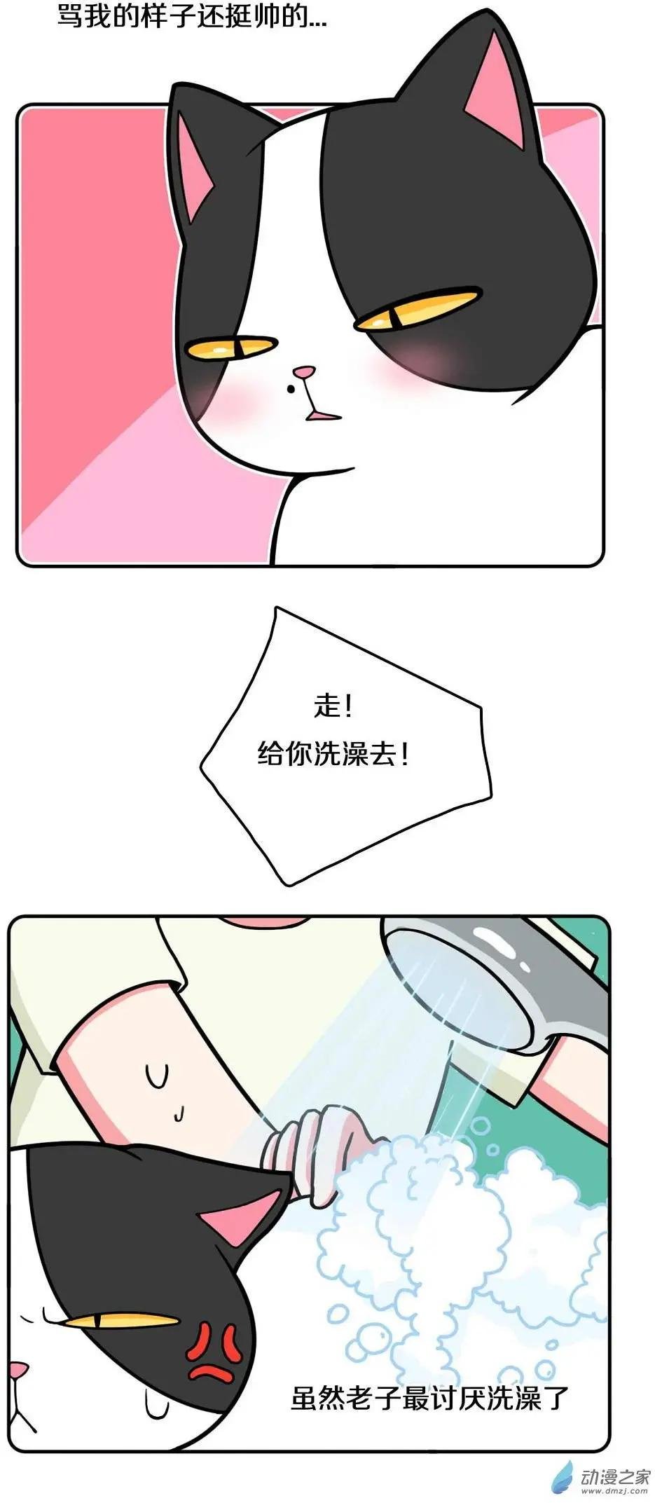 第06回