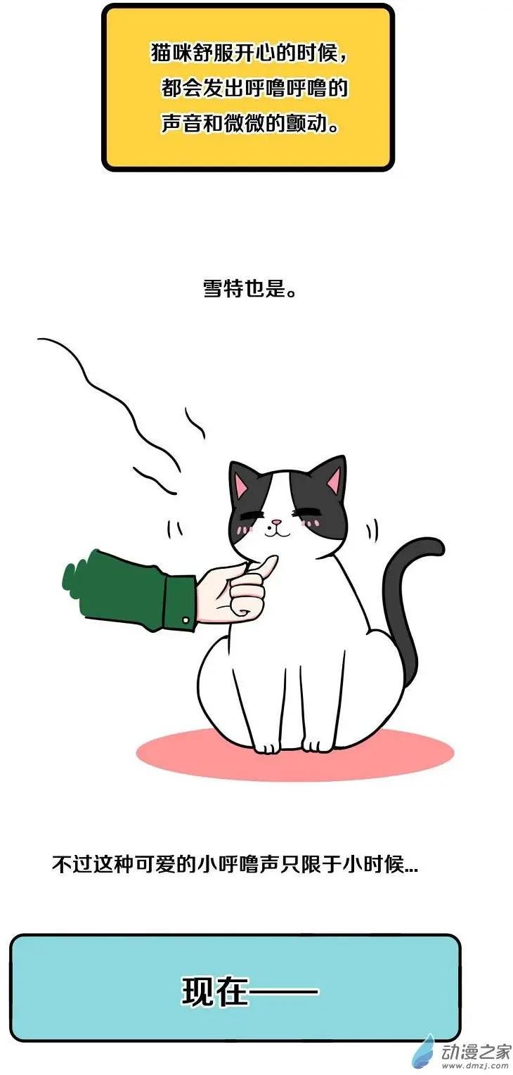第08回