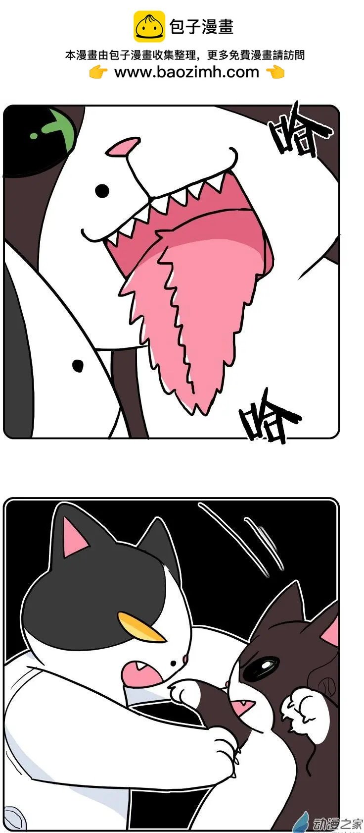 第09回