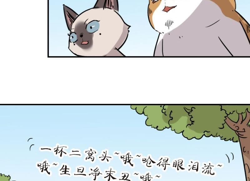 第18话 苏达进大观园