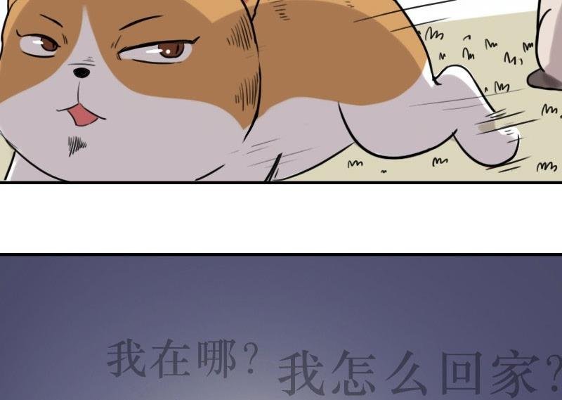 第18话 苏达进大观园
