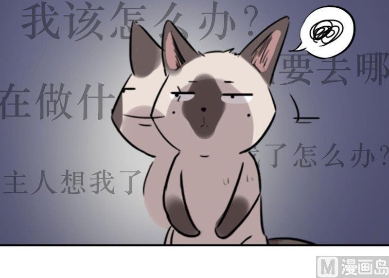 第18话 苏达进大观园