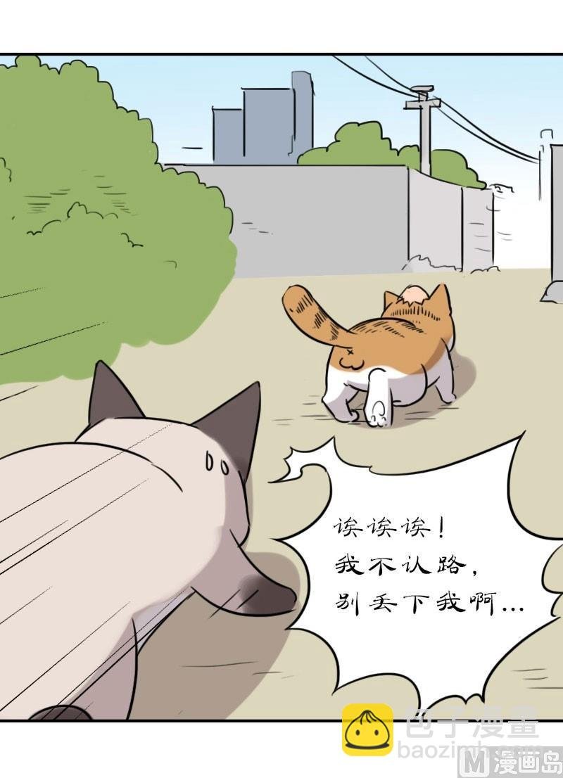 第18话 苏达进大观园