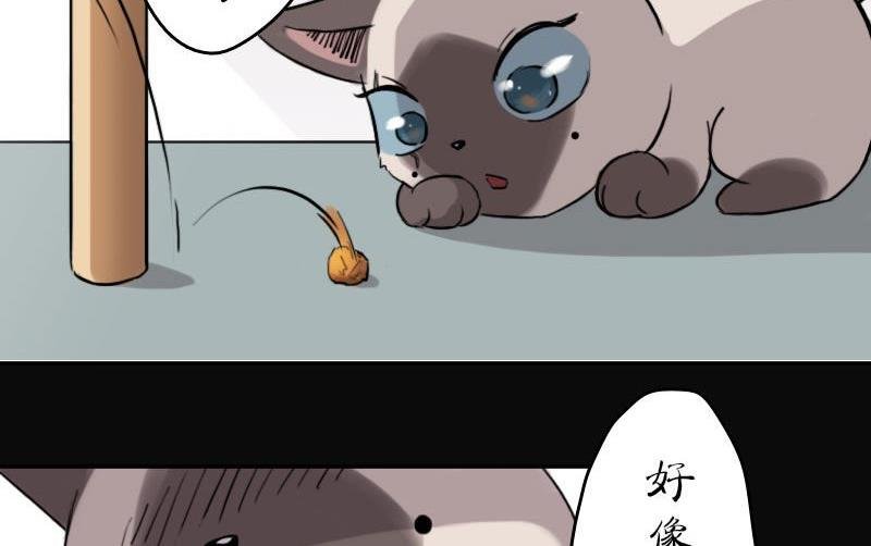 第十二话 梅子大战（下）