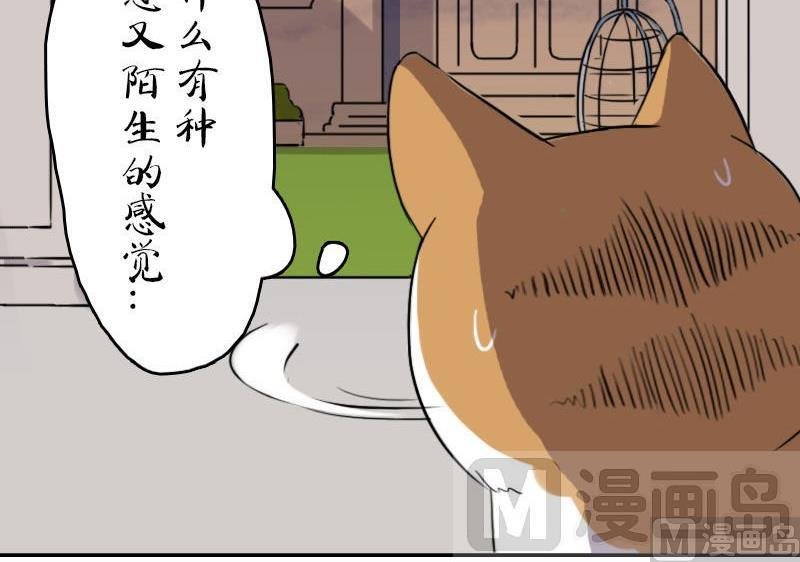 第十二话 梅子大战（下）