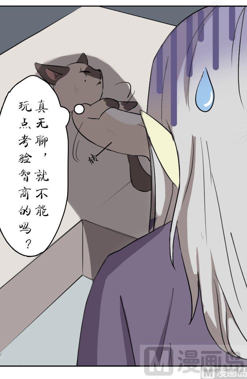 第十二话 梅子大战（下）
