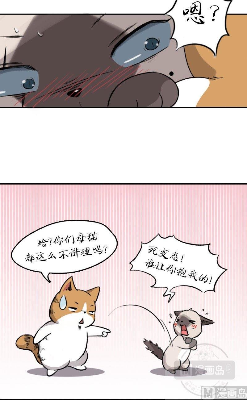 第十一话 梅子大战 上