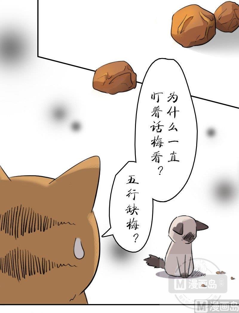 第十一话 梅子大战 上