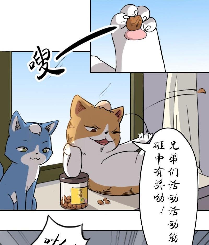 第十一话 梅子大战 上