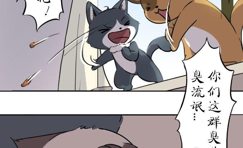 第十一话 梅子大战 上