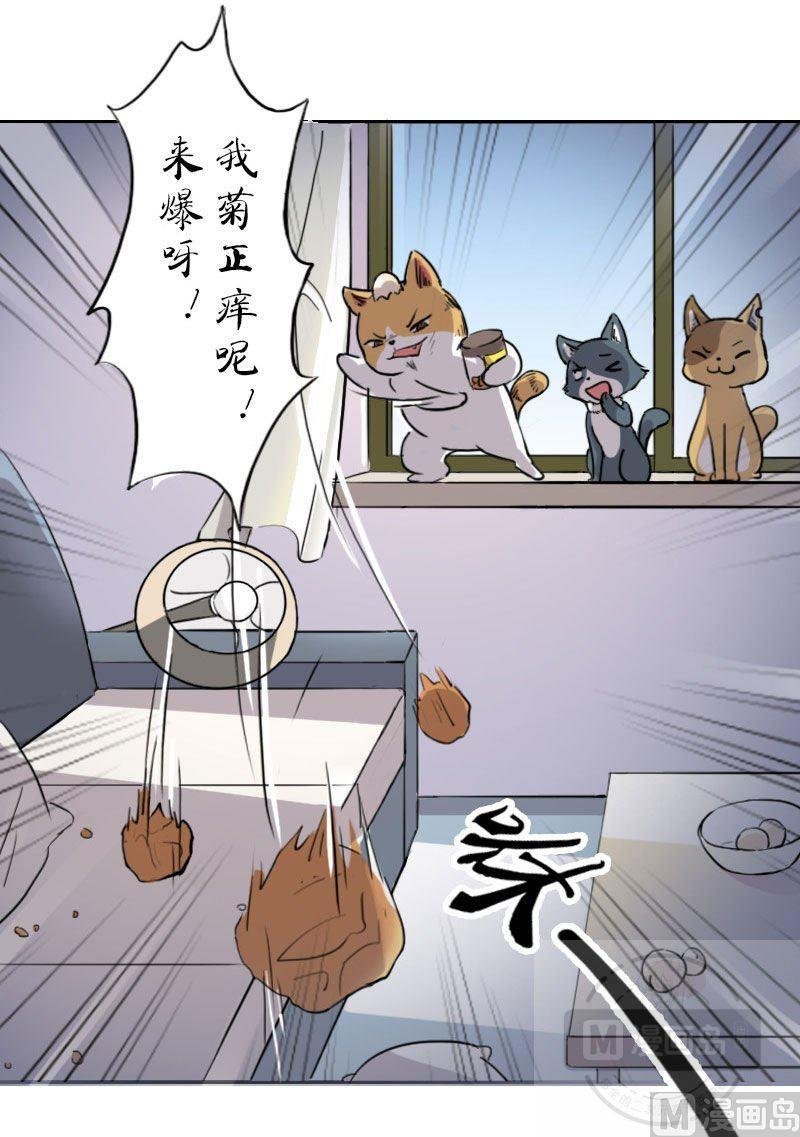 第十一话 梅子大战 上