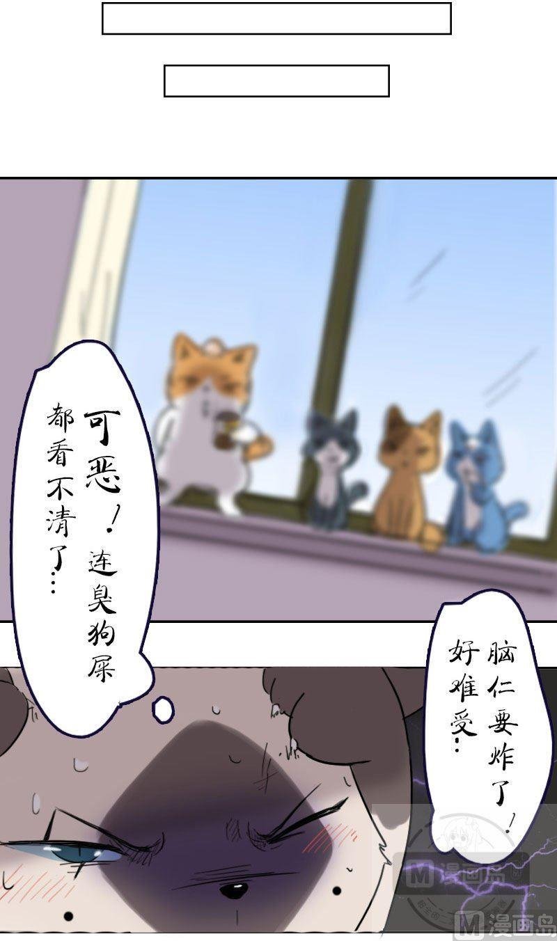 第十一话 梅子大战 上