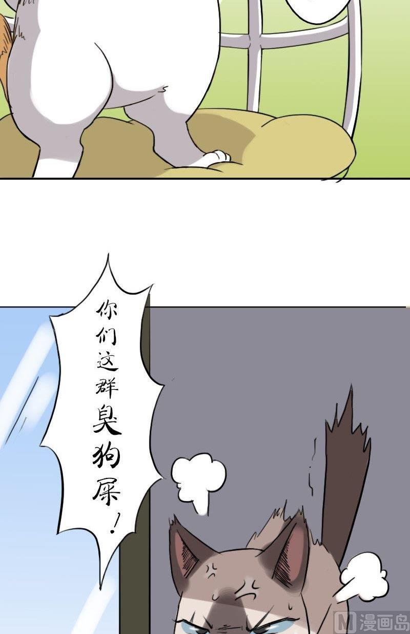 第九话 劫财