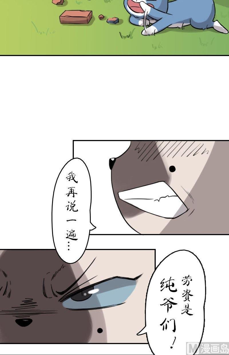 第九话 劫财