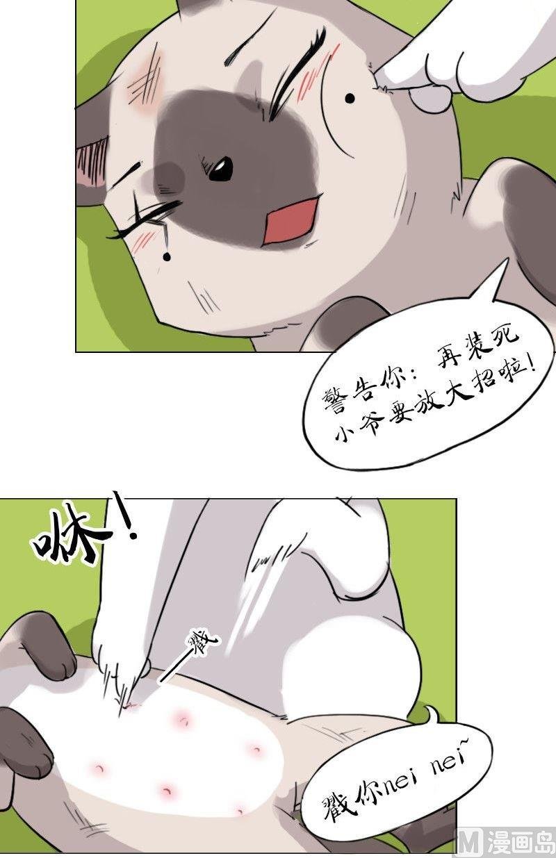 第九话 劫财