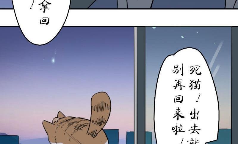 第八话 梦里身世知多少