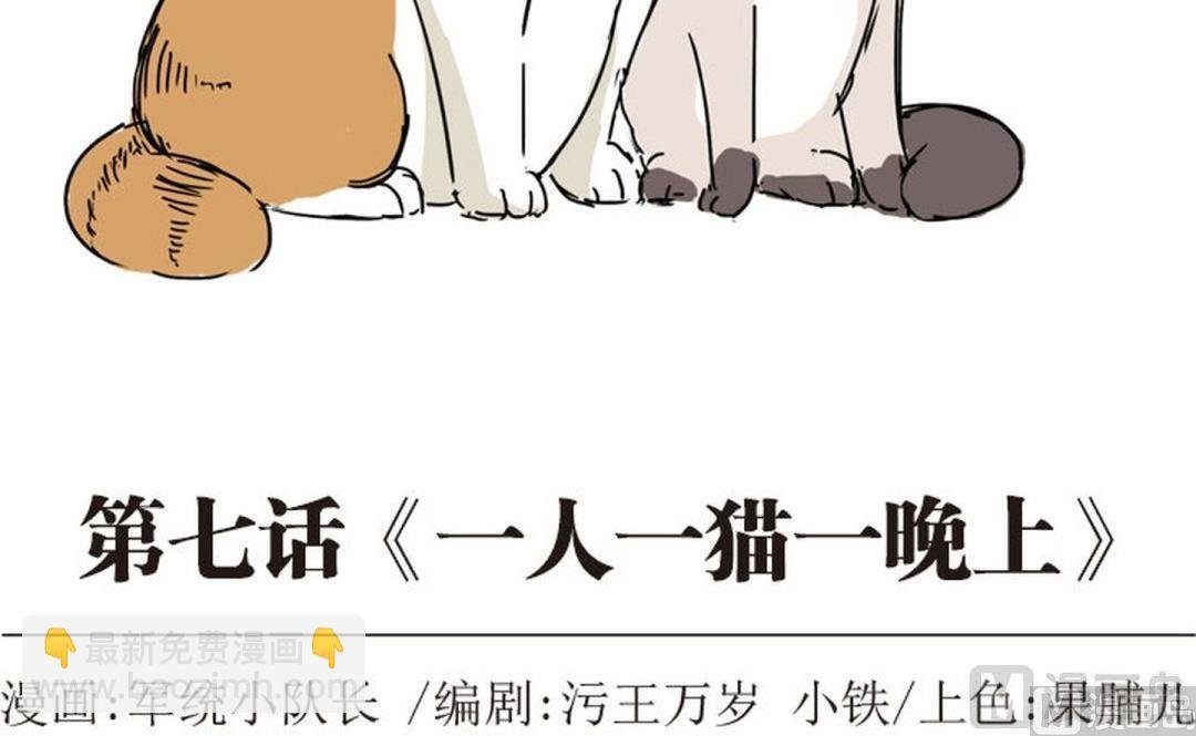 第七话 一人一猫一晚上