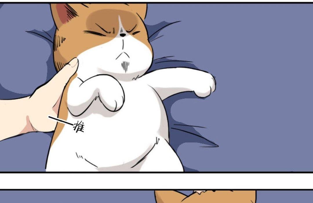 第七话 一人一猫一晚上