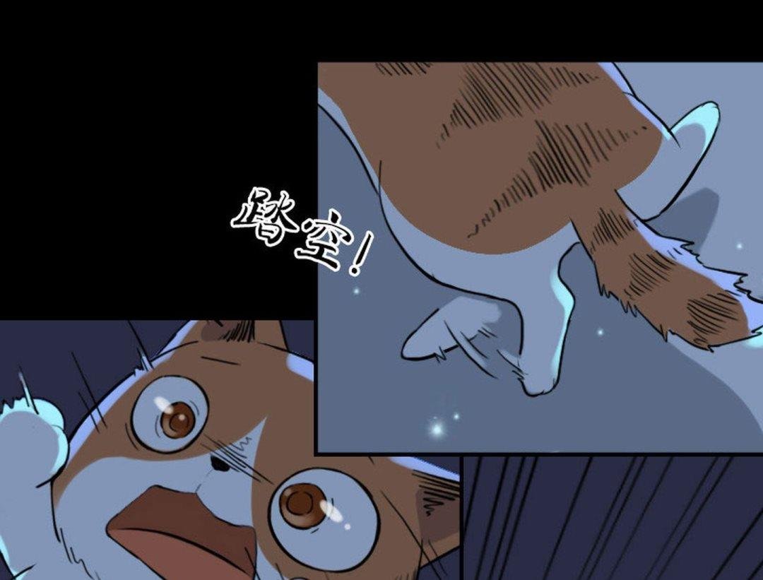 第七话 一人一猫一晚上