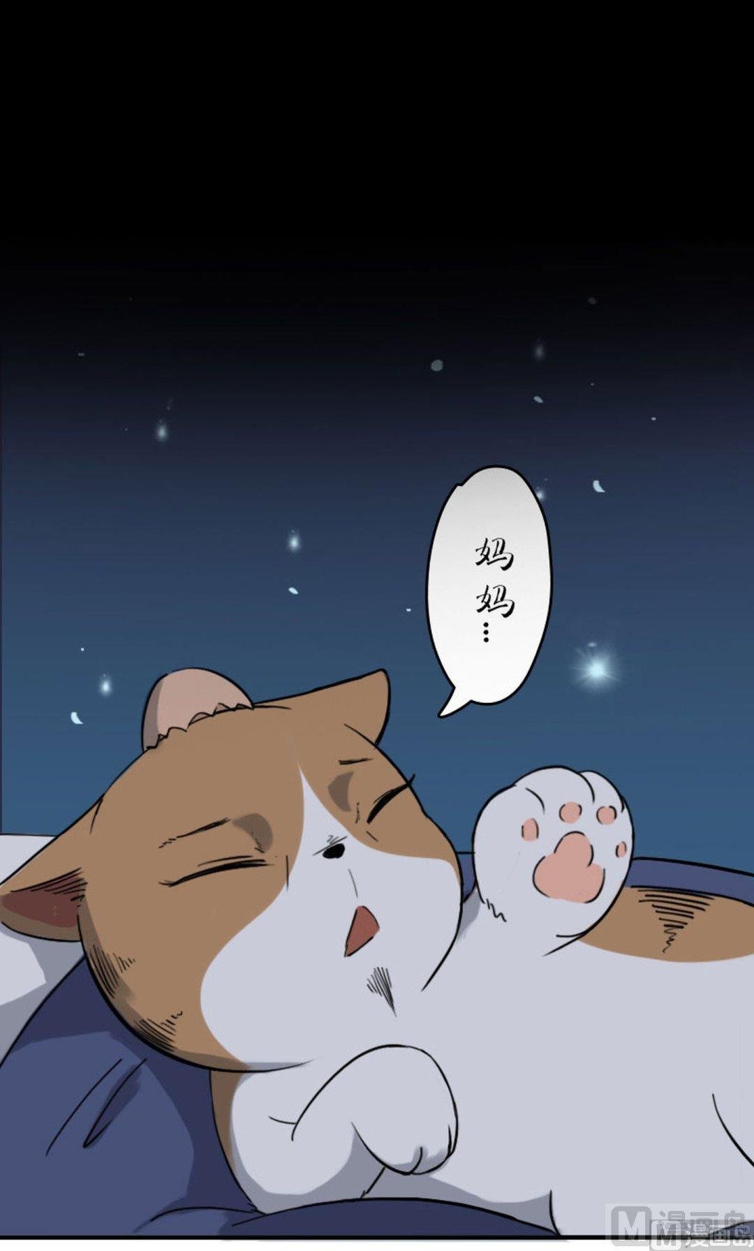 第七话 一人一猫一晚上