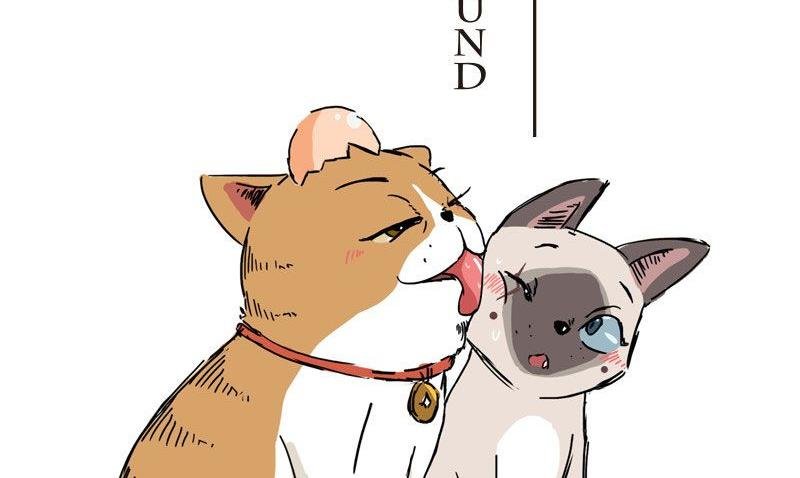 第六话 不速之客