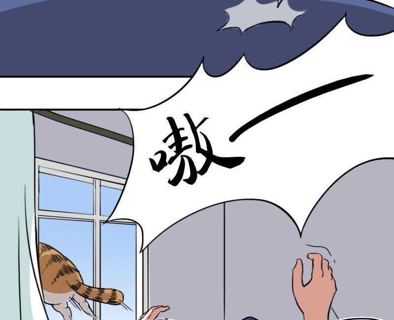 第六话 不速之客