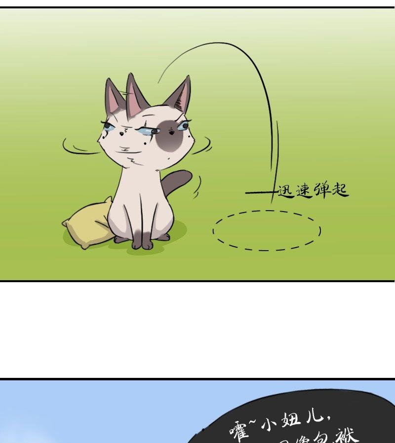 第六话 不速之客