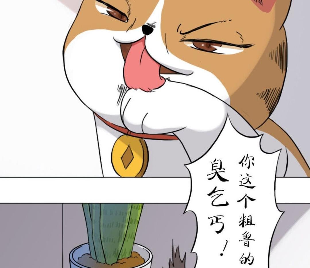 第五话 劳资不是娘炮