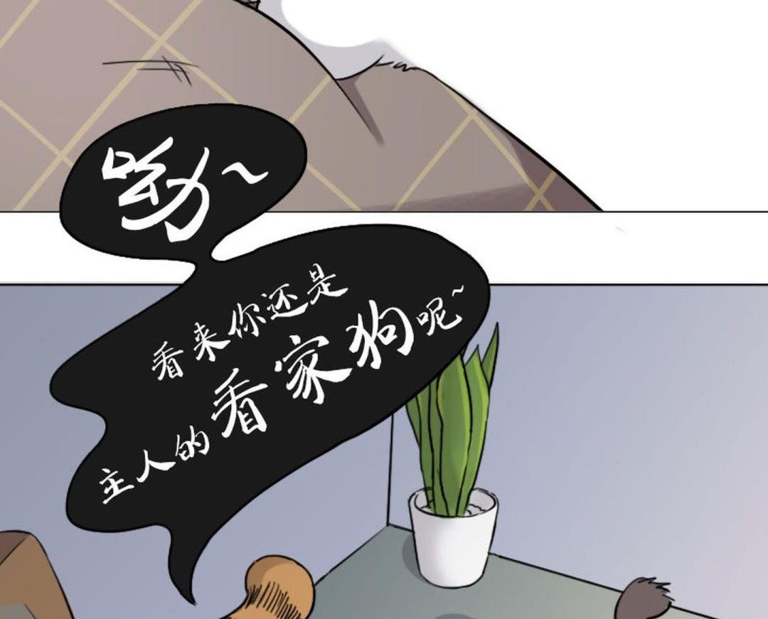 第五话 劳资不是娘炮