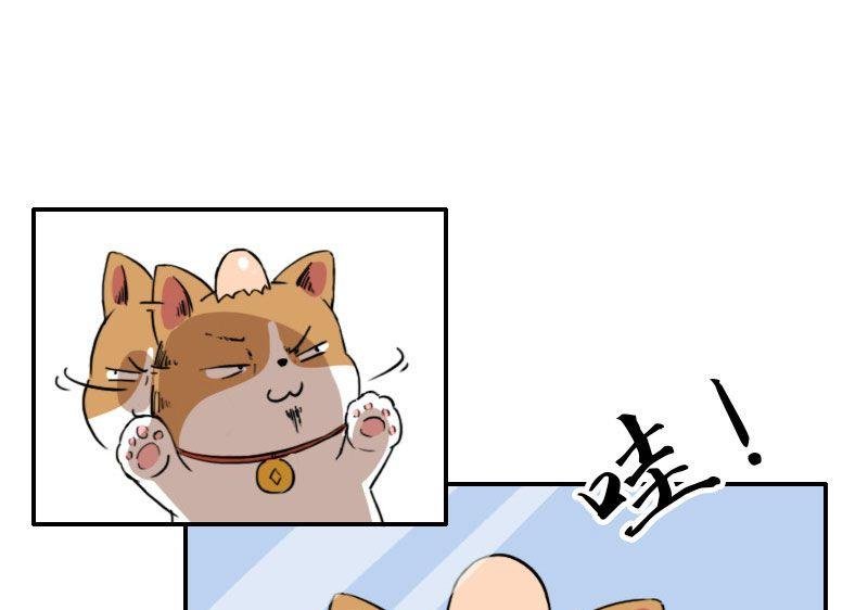 第四话 不速之客