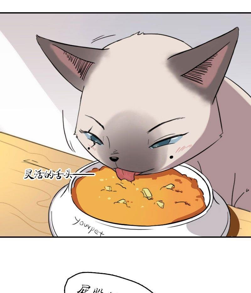 第四话 不速之客