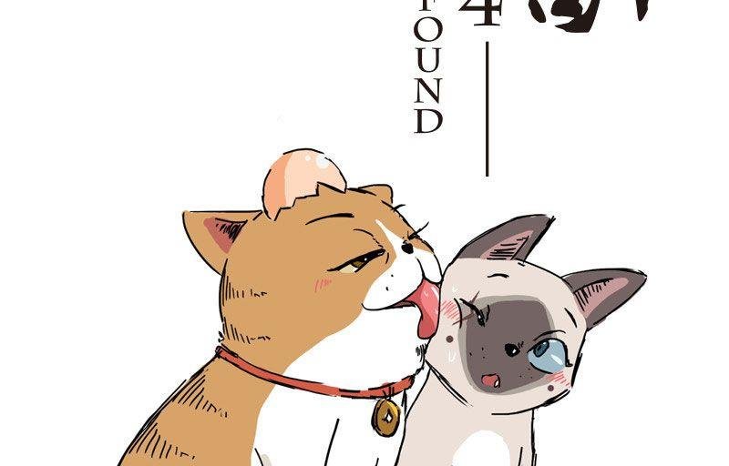 第3话 未知毛