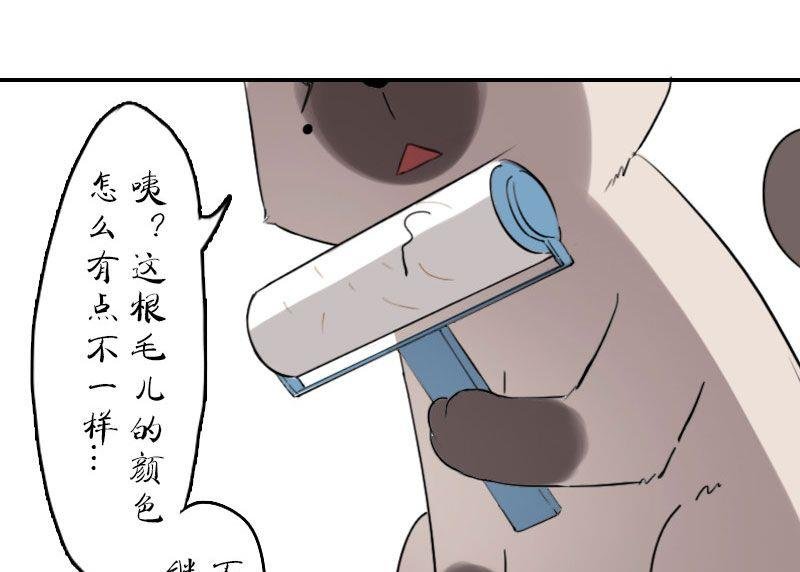第3话 未知毛
