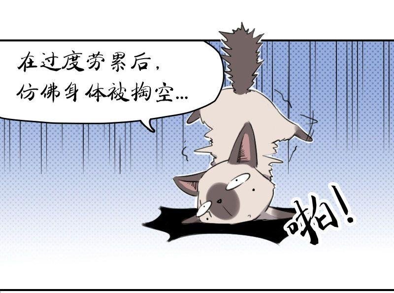 第3话 未知毛