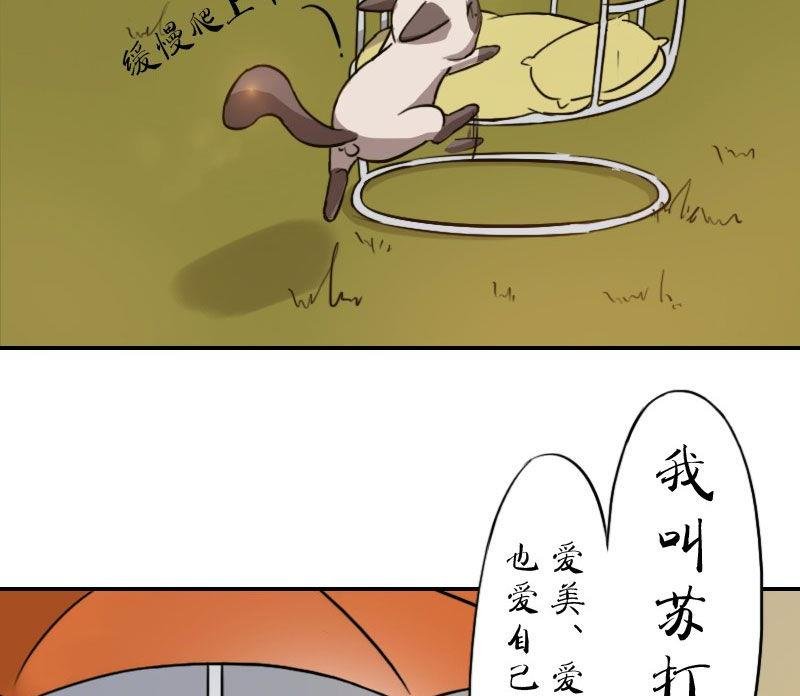 第3话 未知毛