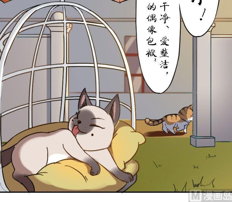 第3话 未知毛