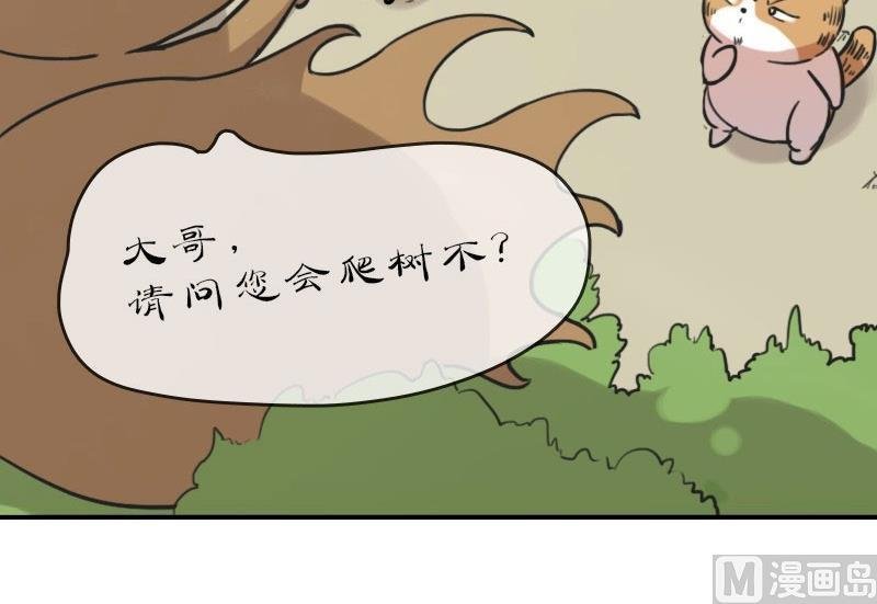 第17话 谁在通风报信