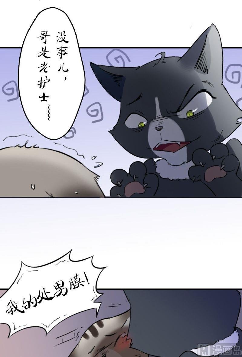 第2话 谁呀，这么不识趣儿