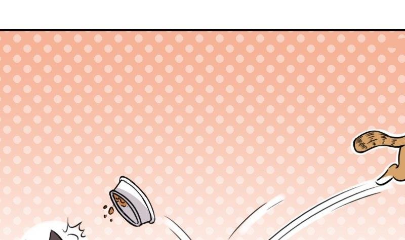 第16话 下