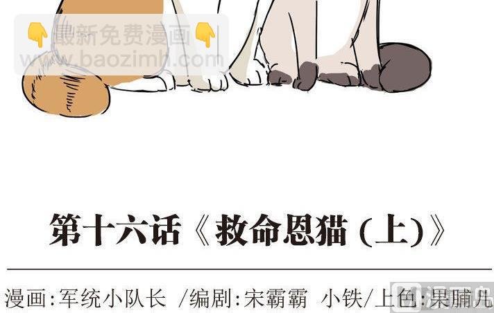 第16话（上）