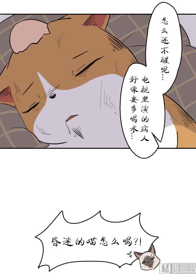 第16话（上）