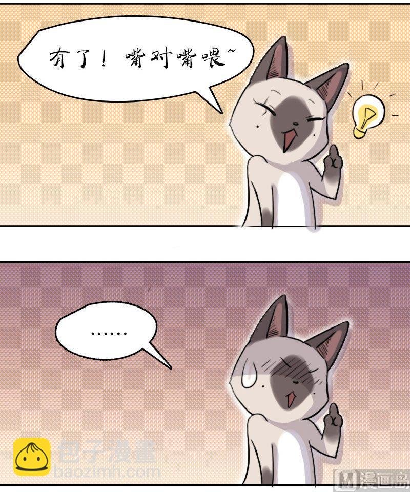 第16话（上）