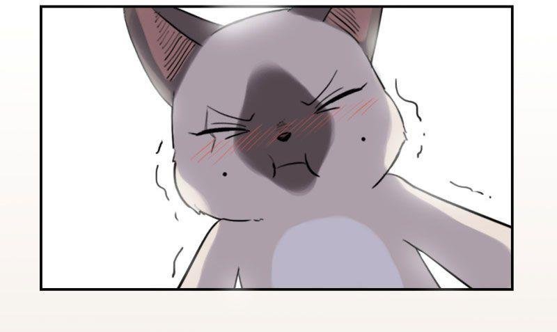 第16话（上）