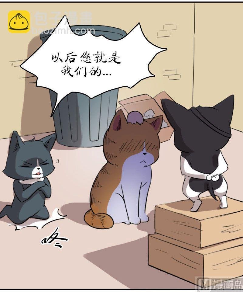 第15话（下）