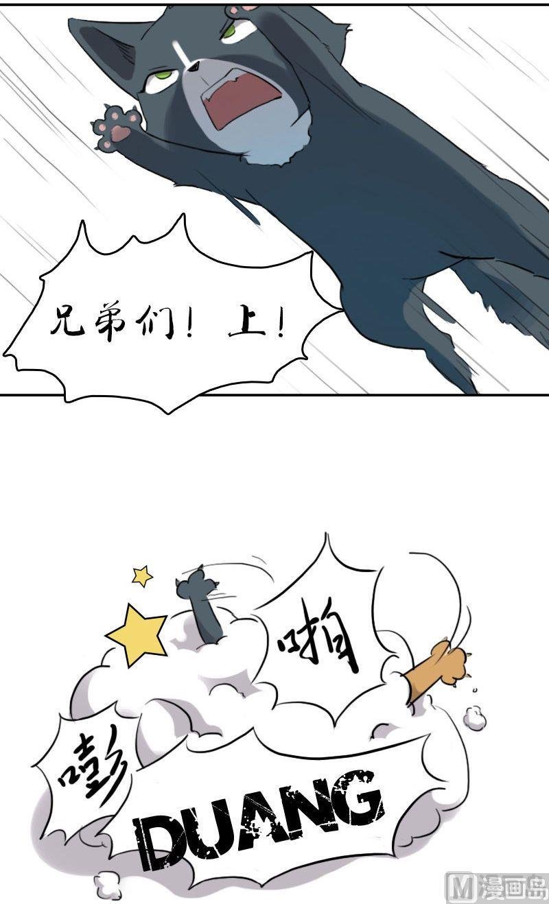 第15话（下）