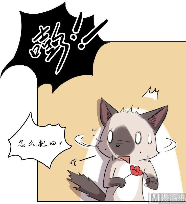 第15话（下）