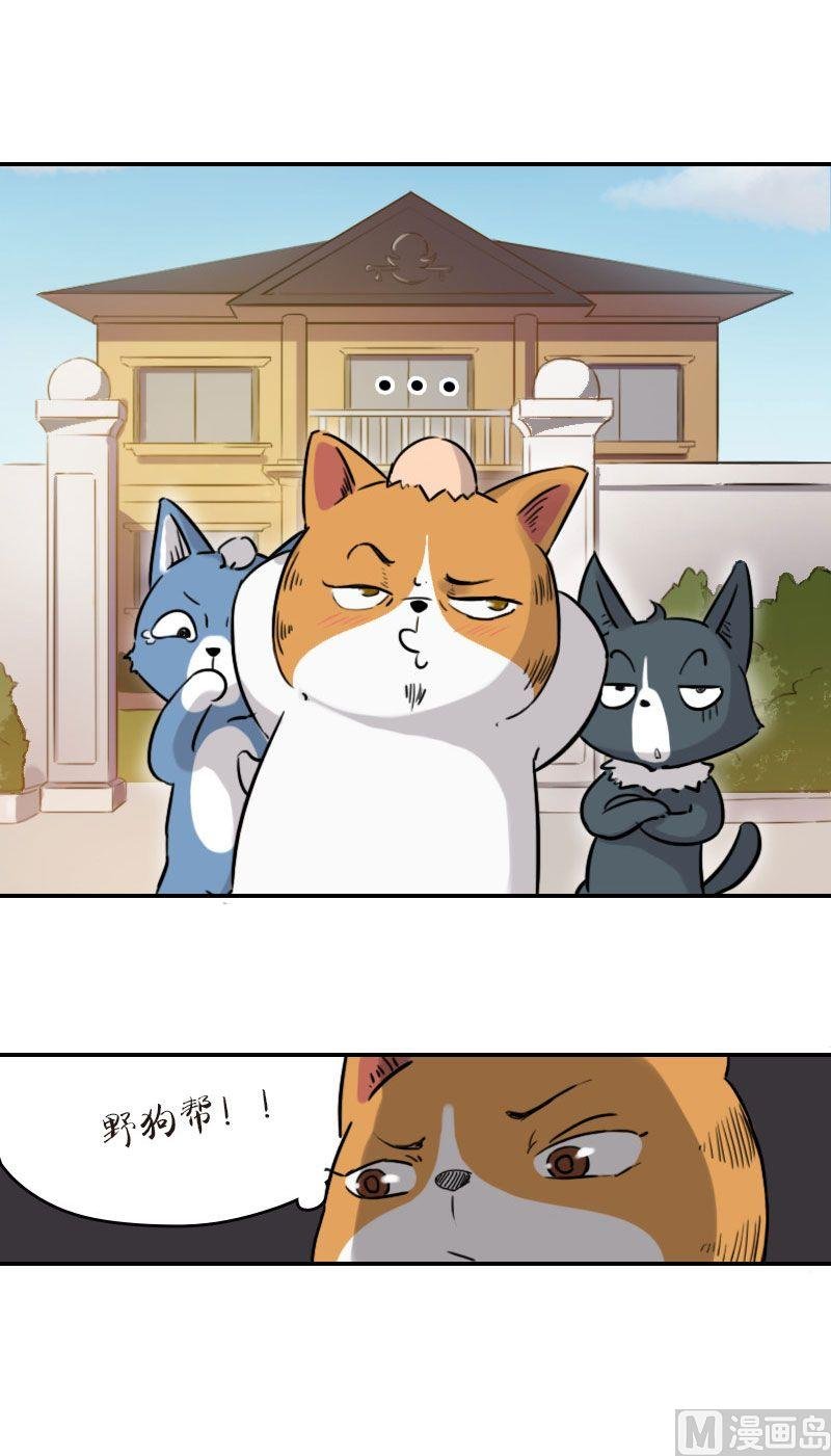 第15话（上）